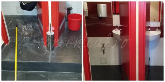 GreenLeaf Services curatenie Bucuresti