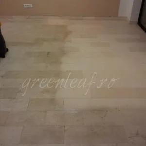 GreenLeaf Services curatenie Bucuresti