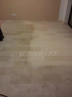GreenLeaf Services curatenie Bucuresti