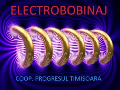 Timisoara - Rebobinat motoare
