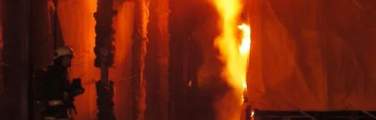 313 SAFETY SECURITY & FIRE