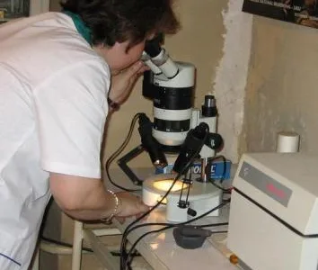 Laboratorul de Restaurare al Muzeului Municipiului Bucuresti