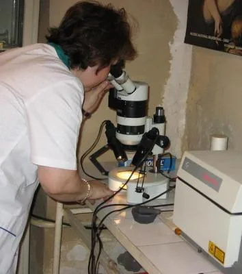 Laboratorul de Restaurare al Muzeului Municipiului Bucuresti
