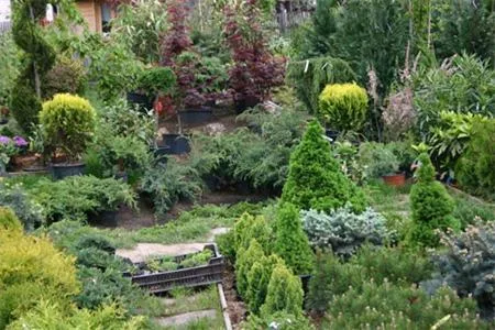 Odorheiu Secuiesc / Harghita - Firma de amenajare a spatiilor verzi