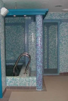 Oradea - Constructii si intretineri piscine