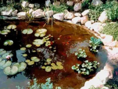 Oradea - Constructii si intretineri piscine