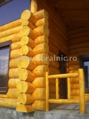 Case din busteni si mobilier de gradina Suceava