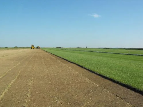 Salaj - Producerea si comercializare rulouri de gazon
