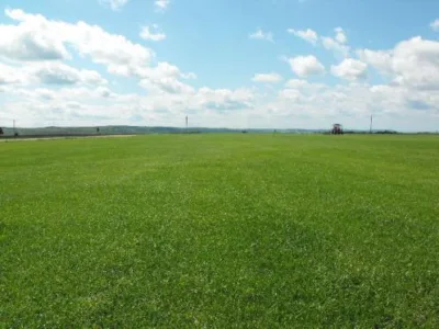 Salaj - Producerea si comercializare rulouri de gazon