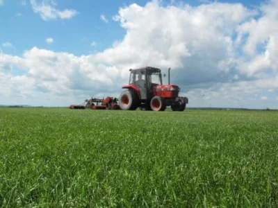 Salaj - Producerea si comercializare rulouri de gazon