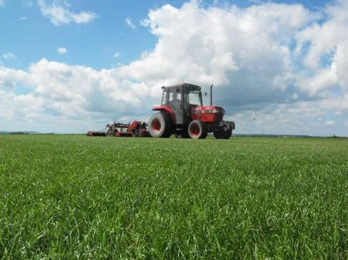 Salaj - Producerea si comercializare rulouri de gazon