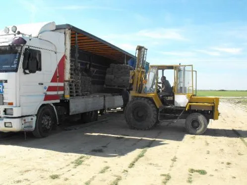 Salaj - Producerea si comercializare rulouri de gazon