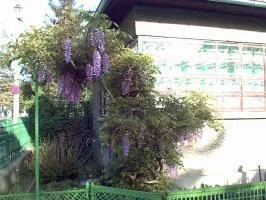 GARDEN ART