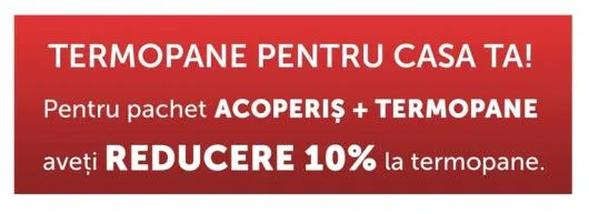 Iasi - Sisteme de acoperis din tigla metalica