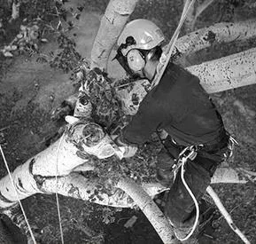 Alpinism utilitar - Bucuresti