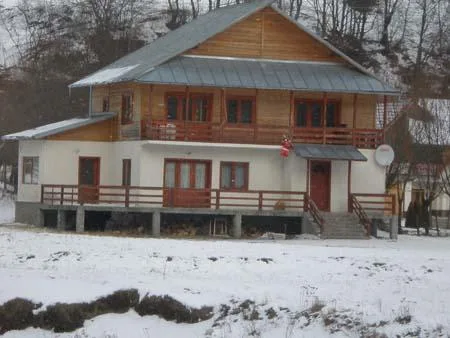 Constructii case pe structura de lemn Campulung - Arges