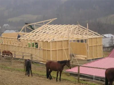 Sarpante - plansee - case din lemn Bucuresti