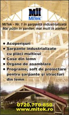 Sarpante - plansee - case din lemn Bucuresti