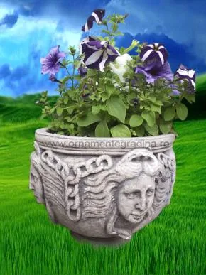 Piatra Neamt - Ornamente de gradina si decoratiuni arhitecturale