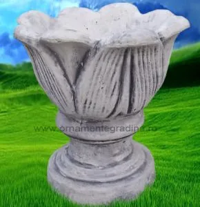 Piatra Neamt - Ornamente de gradina si decoratiuni arhitecturale