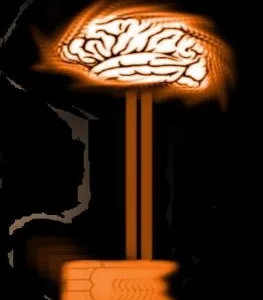 Sisteme profesionale de securitate Bucuresti