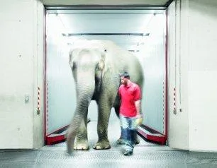 Furnizor de ascensoare - scari rulante si Servicii conexe - Bucuresti