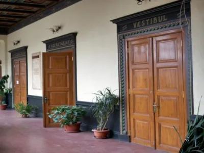 Ferestre si usi din lemn stratificat - Afumati / Ilfov