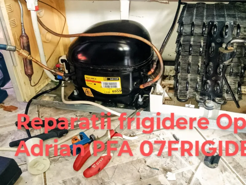 Reparatii frigidere - Opris Adrian PFA