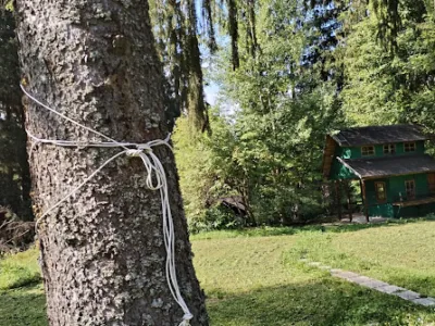 Vilă Predeal - Cioplea