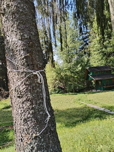 Vilă Predeal - Cioplea