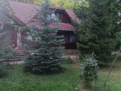 Domeniu Premium Izvoarele (PH) – 2 Case + Teren 6.500 mp