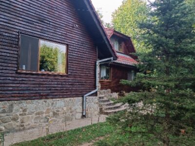 Domeniu Premium Izvoarele (PH) – 2 Case + Teren 6.500 mp