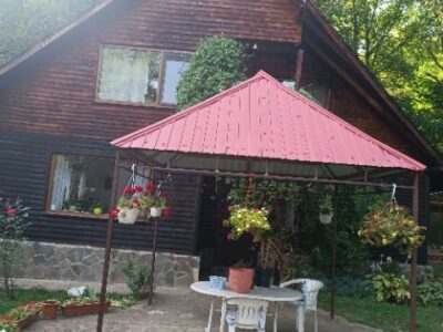 Domeniu Premium Izvoarele (PH) – 2 Case + Teren 6.500 mp