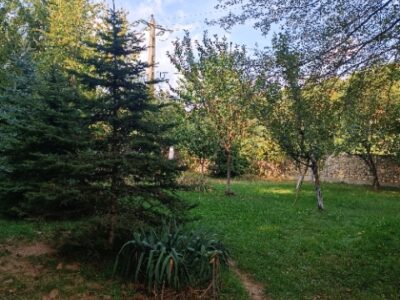 Domeniu Premium Izvoarele (PH) – 2 Case + Teren 6.500 mp
