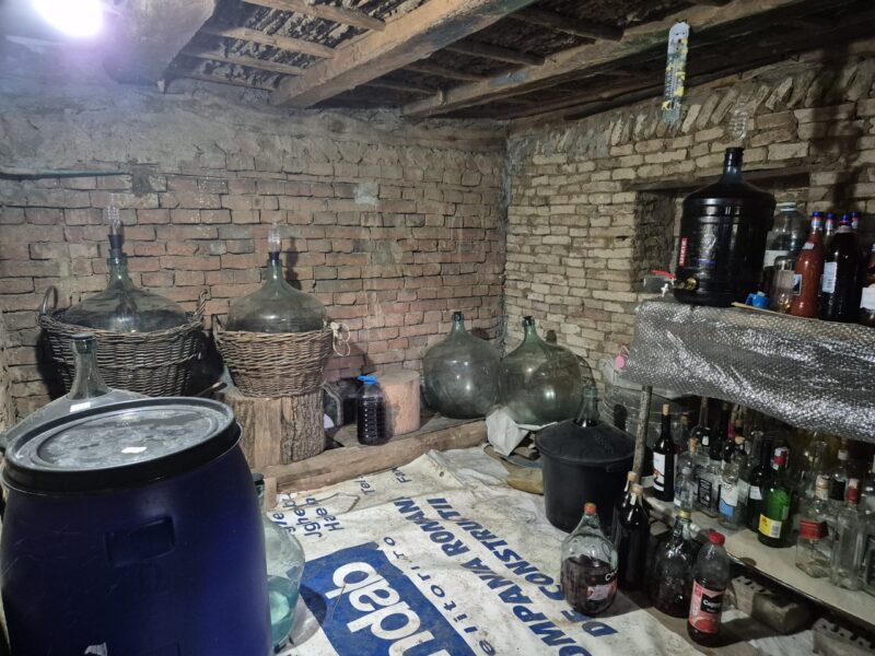 Proprietar. Casă de vânzare în Pleșești, comuna Podgoria