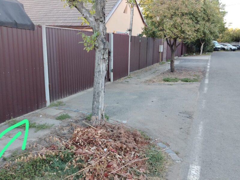 Teren 428 mp Ciarda Roșie | Toate Utilitățile