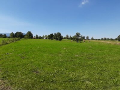 Teren de vanzare Bran-Sohodol