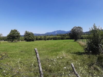 Teren de vanzare Bran-Sohodol